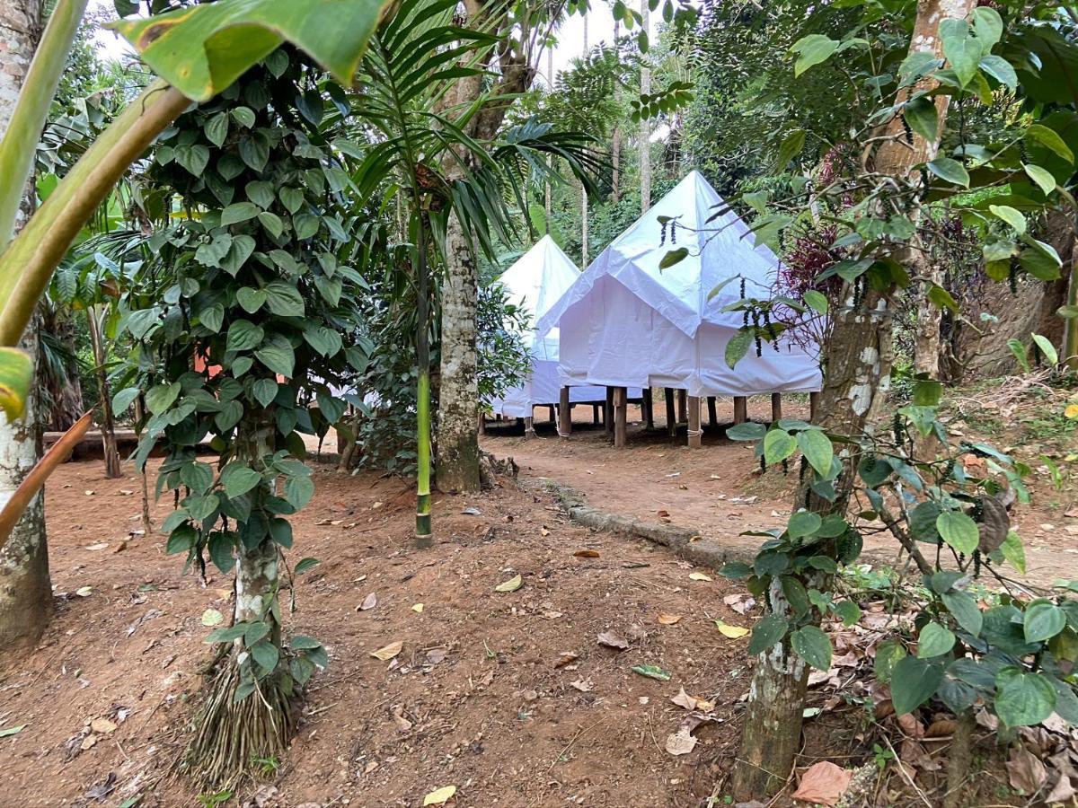 Wayanad Plantation Tent Stay And Swimming Pool Vajanad Kültér fotó