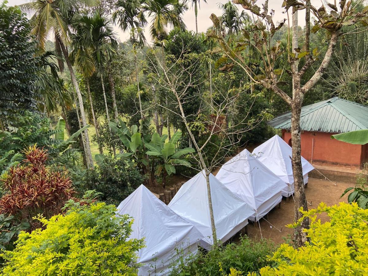 Wayanad Plantation Tent Stay And Swimming Pool Vajanad Kültér fotó